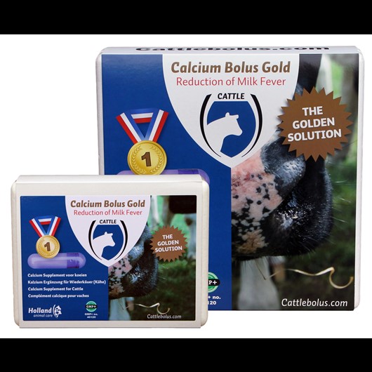 BOLUS Calcium GOLD (12 bolis/boîte)
